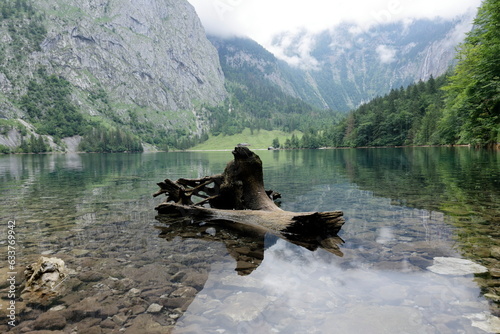 Bergsee im Berchtesgadener Land mit einer Wurzel im Vordergrund