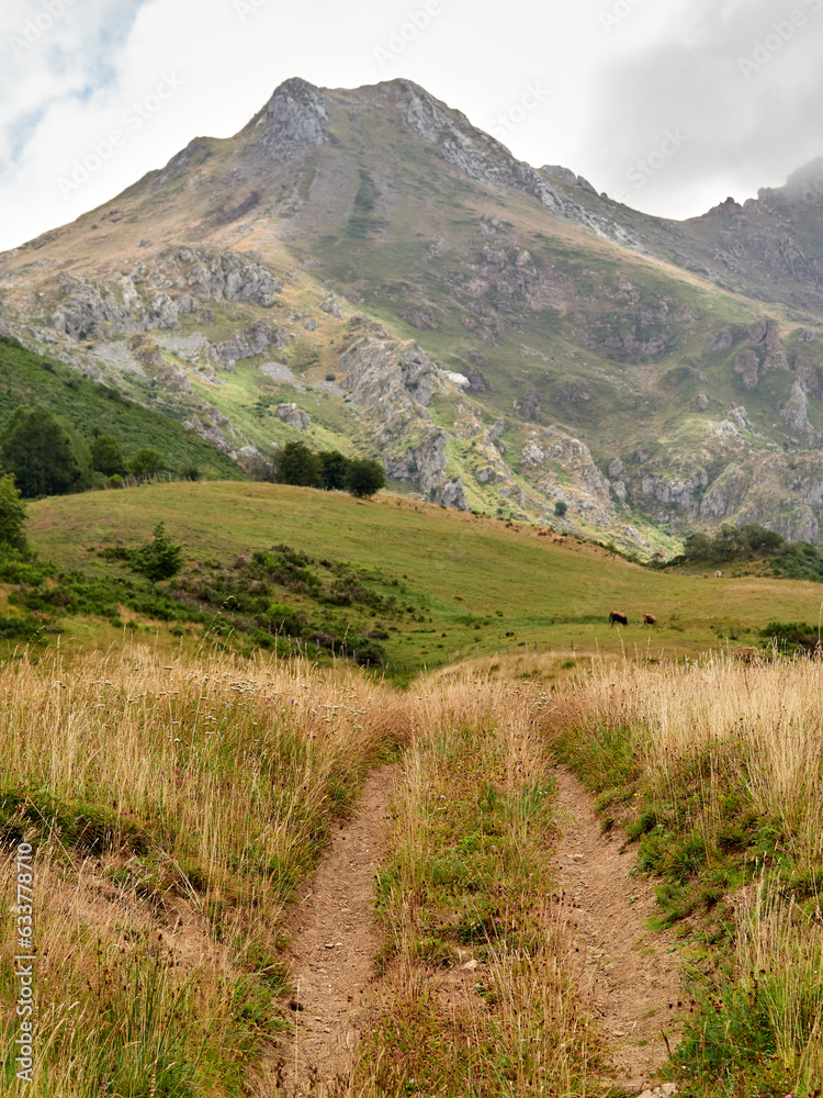 Mountains and meadows. Somiedo Natural Park. Asturias. Spain. 