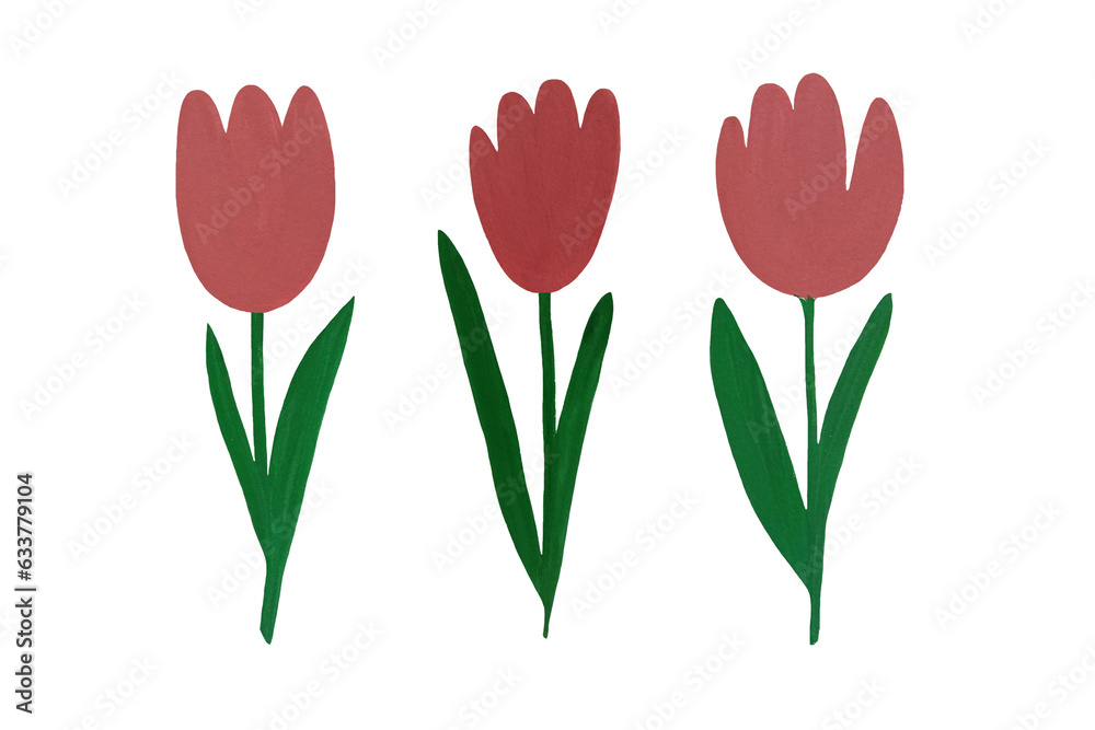 Watercolor gouache tulips. Spring flowers. Pink tulip on a white background. Floral flat illustration.