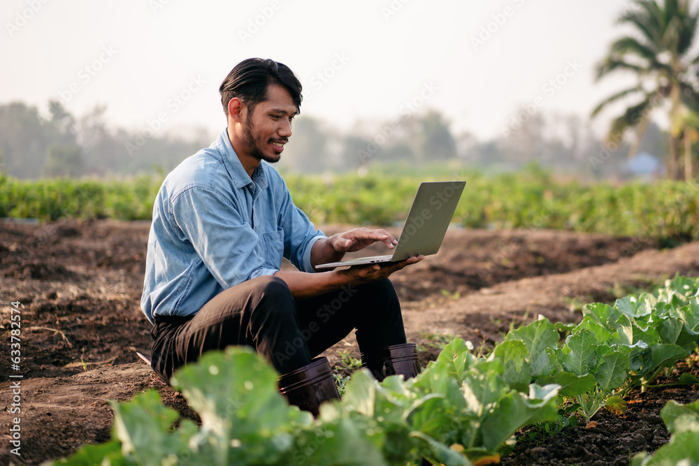 Smart farmer typing on laptop to examining quantity and quality crop of cabbage vegetables while working Smart farmer typing on laptop to examining quantity and quality crop of cabbage vegetables while working
