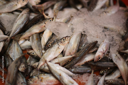 Peixes frescos cuidadosamente preservados no gelo, exibindo toda a qualidade e frescor que uma peixaria oferece aos seus clientes.