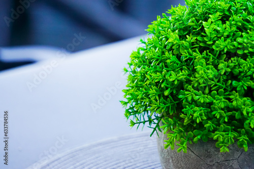 Tabletop for your product with a green flower and beautiful plants as an interior decoration.