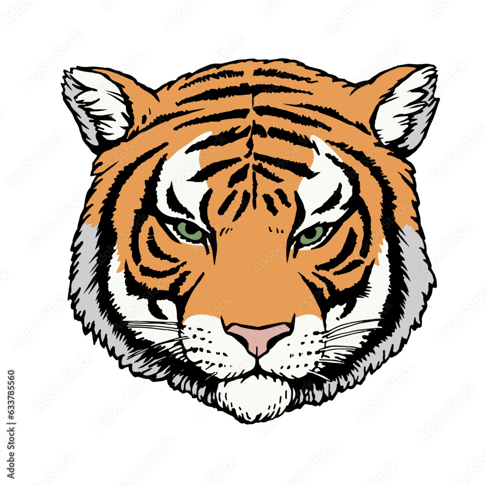 Fototapeta premium Portrait of Tiger. Hand-drawn illustration. Vector