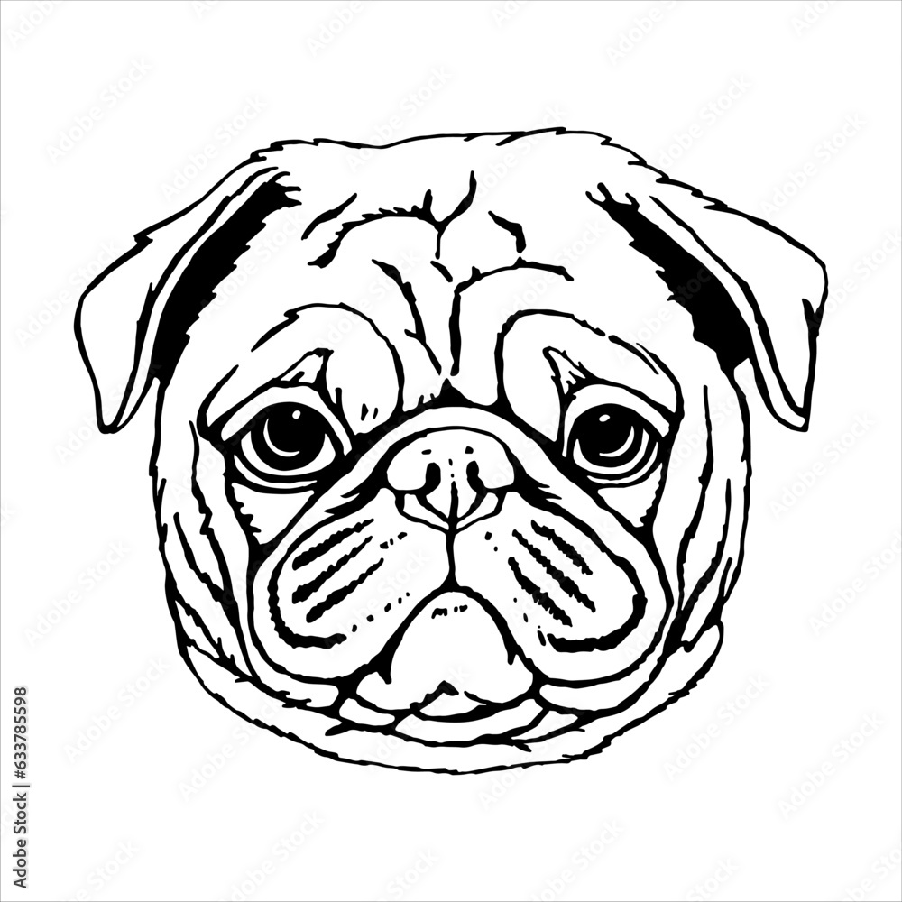Portrait of Pug Dog. Hand-drawn illustration. Vector