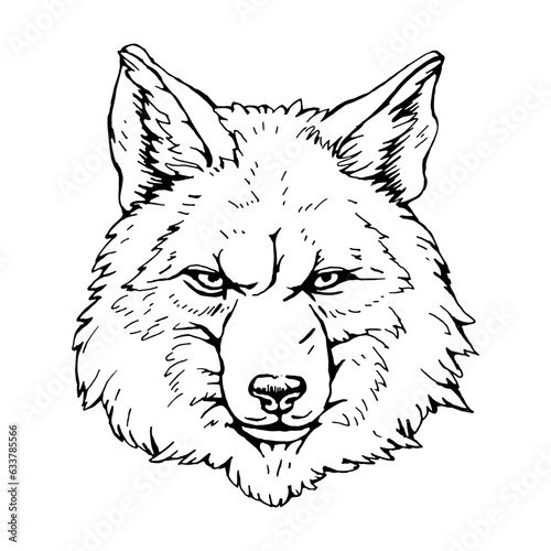 Portrait of Wolf. Hand-drawn illustration. Vector