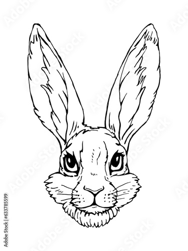 Portrait of Hare. Hand-drawn illustration. Vector