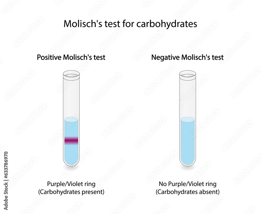 Molisch test for carbohydrates. Sample food plus Molisch reagent