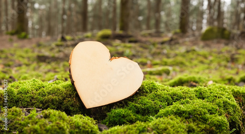 beautiful heart made of tree wood in a green forest in high resolution and high sharpness to detail