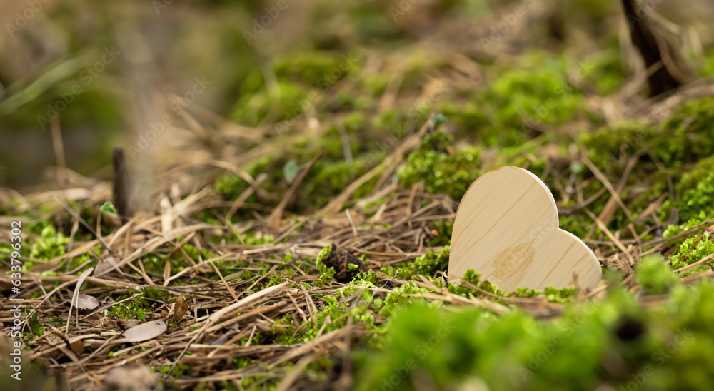 beautiful heart made of new wood in the middle of the green forest in high resolution beautiful heart made of new wood in the middle of the green forest in high resolution