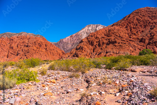 QUEBRADA DE LAS SEÑORITAS, UQUIA, HUMAHUACA. JUJUY, ARGENTINA. photo