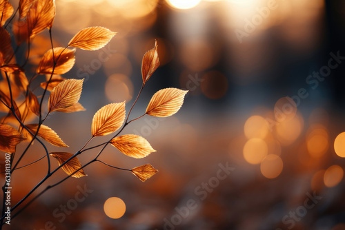 An autumn background of foliage at sunset © Veniamin Kraskov