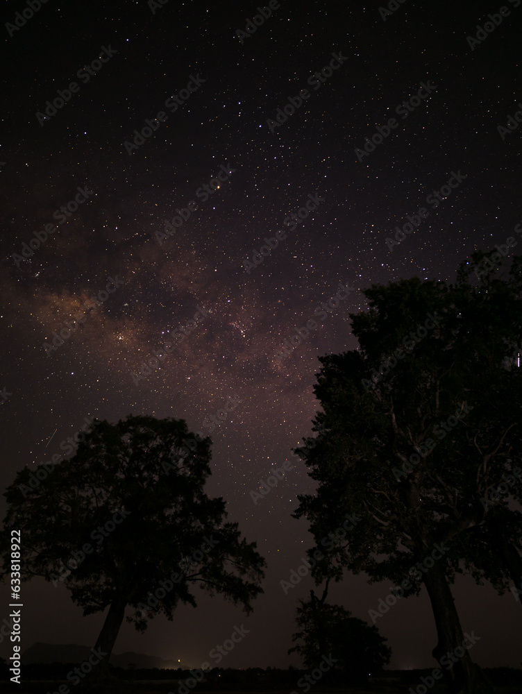 See the beauty of the night sky See the beauty of the night sky
