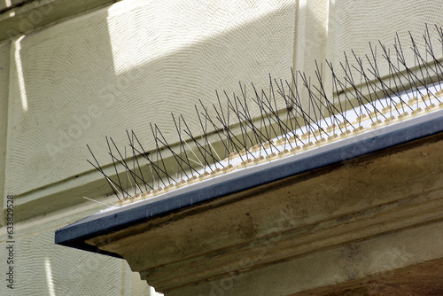 Foto metal spike anti-roosting or bird prevention and repellent strip