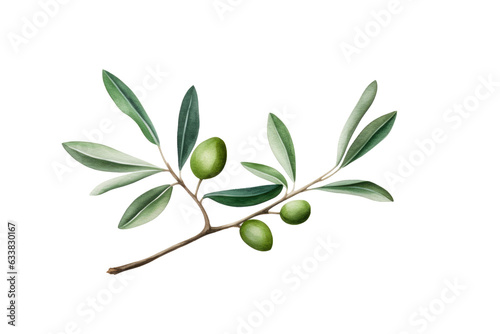 Olive Branch On Transparent Background. PGN File. Ai Generated