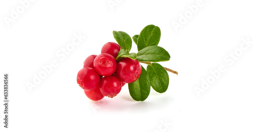 Fresh wild lingonberry with leaves, isolated on white background. photo