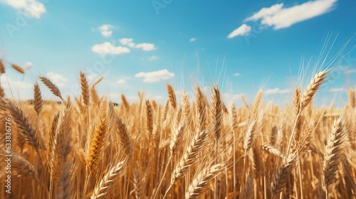 A field with golden ears of wheat on a hot summer day. Created using Generative AI technology. © Viktor