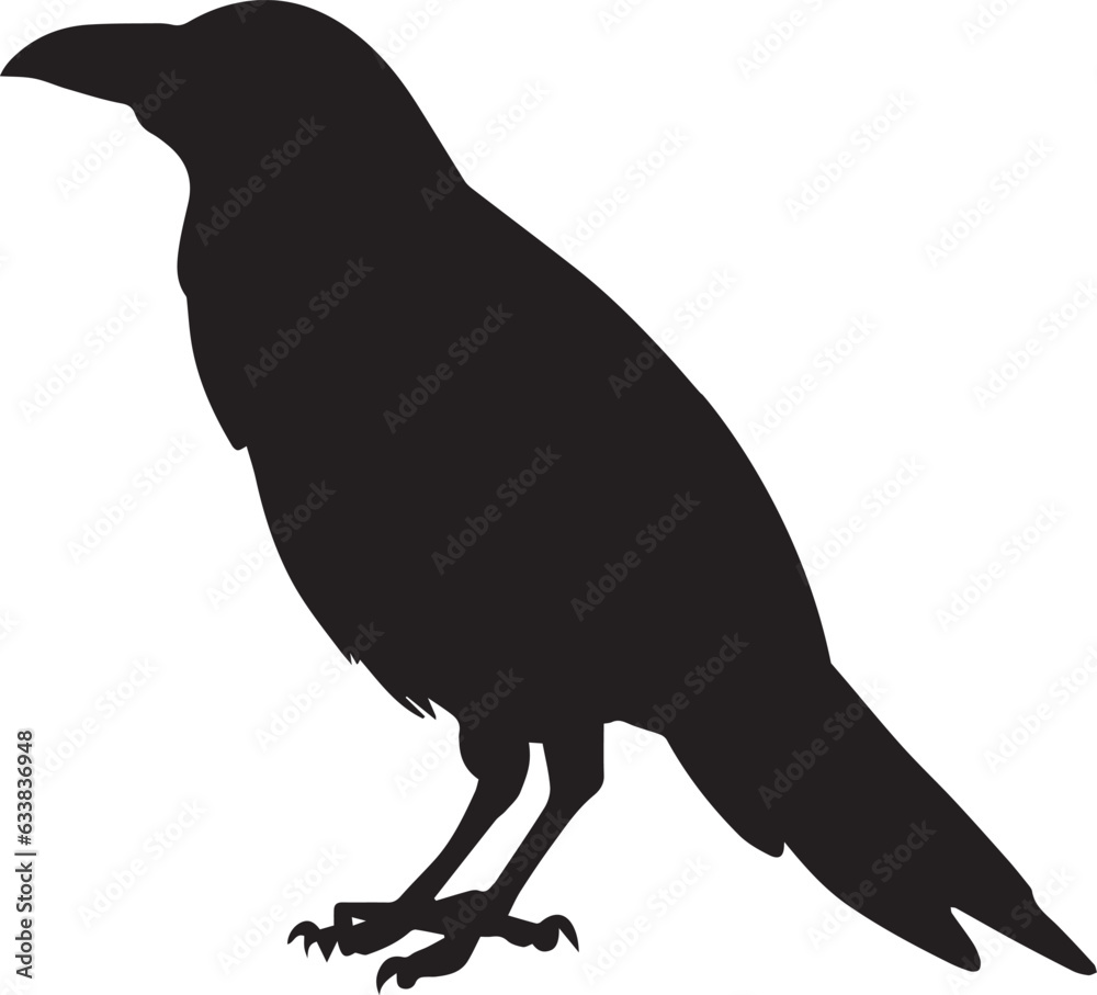 Fototapeta premium Crow vector silhouette illustration black color, crow bird vector