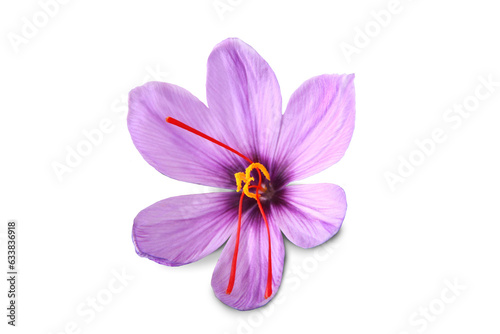 Saffron is a spice derived from the flower of Crocus sativus, commonly known as the "saffron crocus”.
