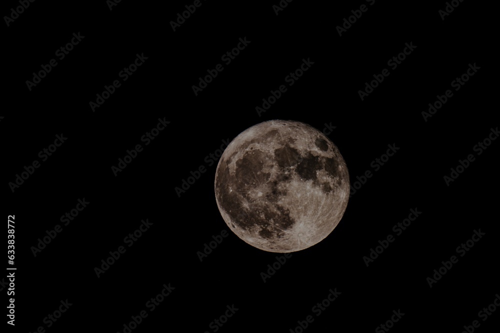 moon moon