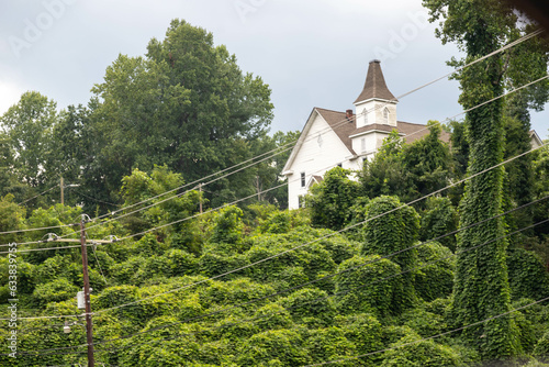 riverside covered in ivy near small white church