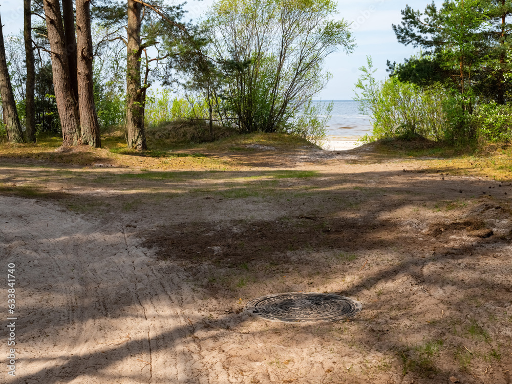 Green pine forest at summer sunny day. Dirt road. Jurmala, Latvia.The hatch on the ground.