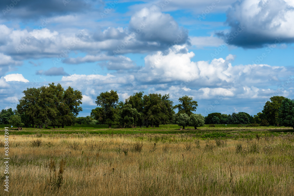 Idyllic landscape of the Elbe meadows near Wittenberge Germany
