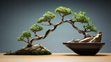 Metaphoric Triumph: Bonsai as Symbol of Success, Growth, and Change Reflecting Evolution and Transformation