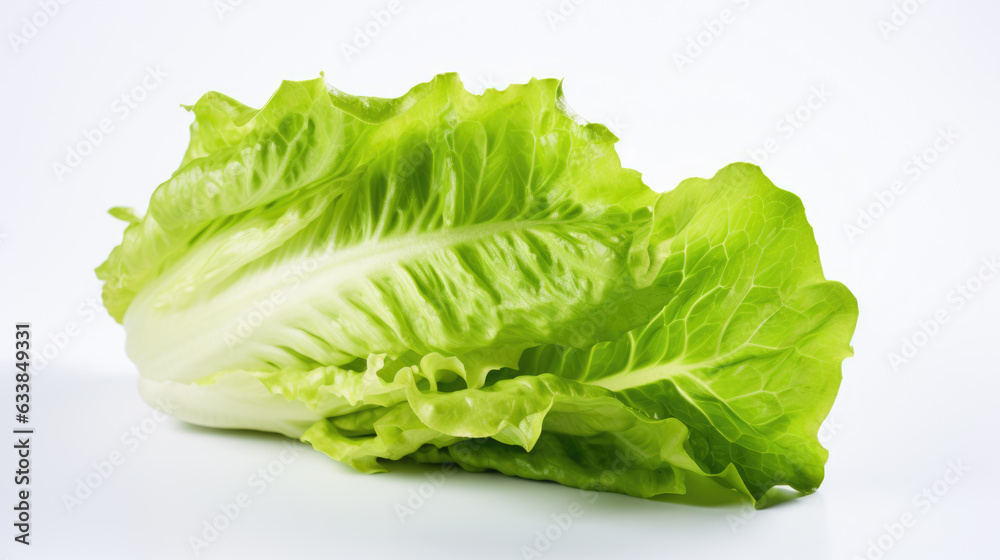 Lettuce isolated on a white background. Lettuce isolated on a white background.