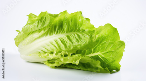 Lettuce isolated on a white background.