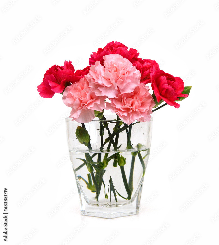 Stack Carnations on white background