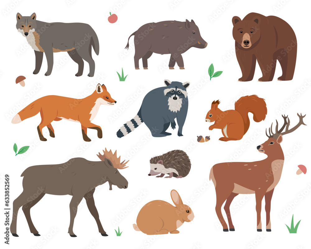 Forest animals set. Wild woodland mammal forest animal characters in different poses. Nature Vector icons illustration isolated on white background.