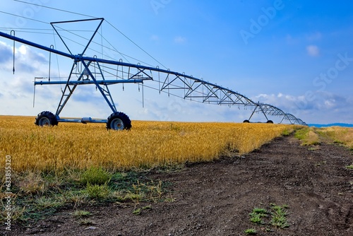 Irrigation pipeline in farm field. © Gregory Johnston