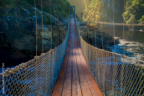 Fototapeta Naklejka Na Ścianę i Meble -  Tsitsikamma National Park, Suspension Bridge, South Africa