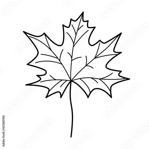 Maple leaf contour drawing isolated cutout black and white vector clipart illustration. Autumn leaves line art design element. Nature pictogram, logo or icon. Tree foilage simple cartoon doodle.