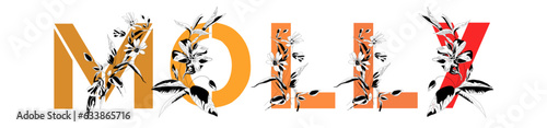 Woman's name Molly. Font composition named MOLLY. Decorative floral font. Typography in the style of art nouveau, modern, vintage.	

