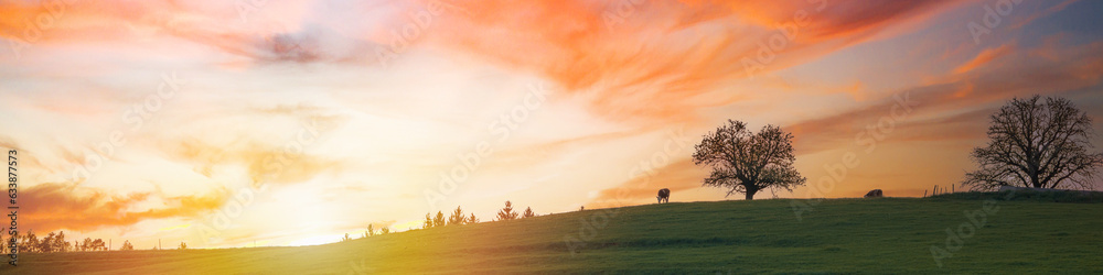 Banner Beautiful sunset, rustic landscape, evening peace