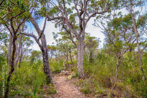 Ku-ring-gai Chase National Park © Michell Tateoka