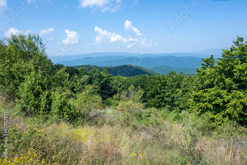 Landscape of Erul mountain near Kamenititsa peak, Bulgaria