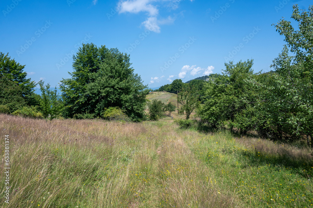 Landscape of Erul mountain near Kamenititsa peak, Bulgaria