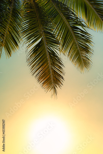 Fototapeta Naklejka Na Ścianę i Meble -  Palm tree branch and sunset sky background 
