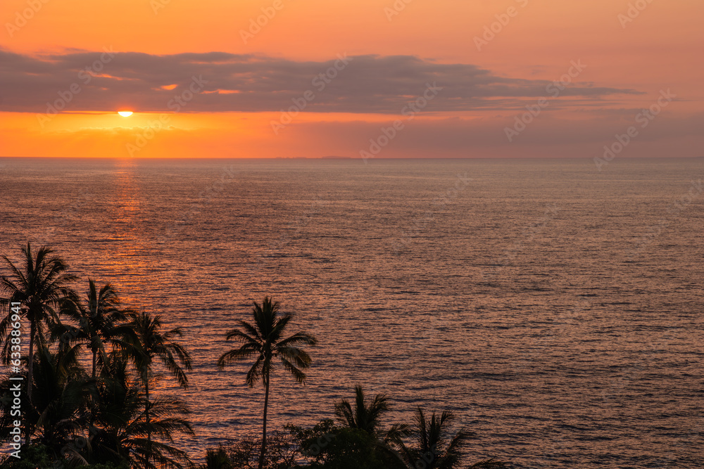 Puerto Vallarta's palm trees and a beautiful sunset
