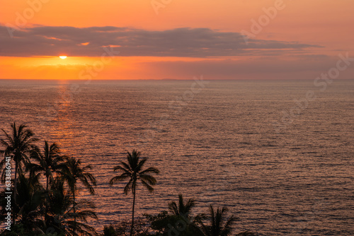 Puerto Vallarta s palm trees and a beautiful sunset
