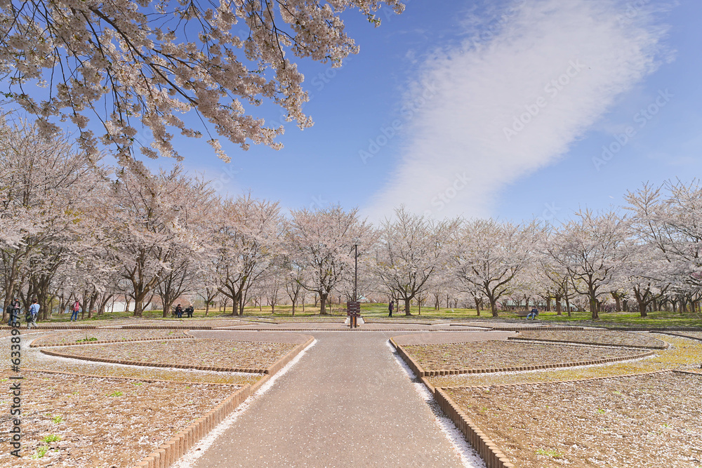 Fototapeta premium 鶴の舞橋