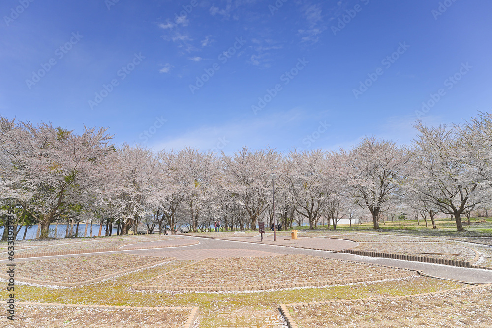 Obraz premium 鶴の舞橋