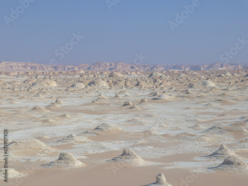 Fototapeta Naklejka Na Ścianę i Meble -  sand dunes in park
