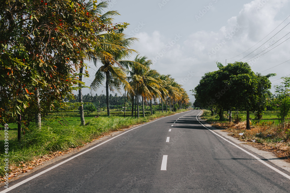 Scenic road with tall palm trees against a cloudy sky