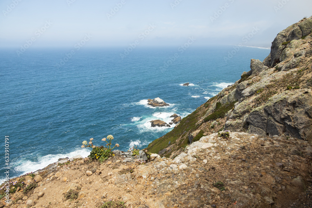 View of the coast and Pacific Ocean in California