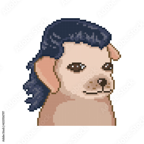 Dog with wig, pixel art meme