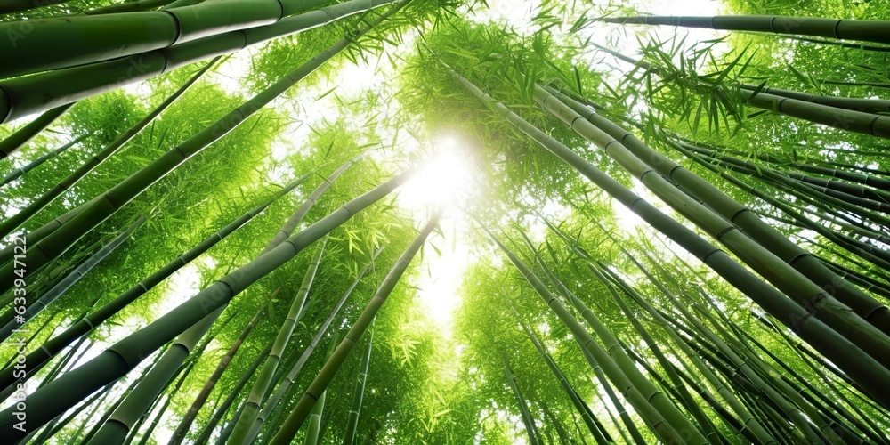 The Green Bamboo Forest. A Natural Wonder. AI Generative The Green Bamboo Forest. A Natural Wonder. AI Generative