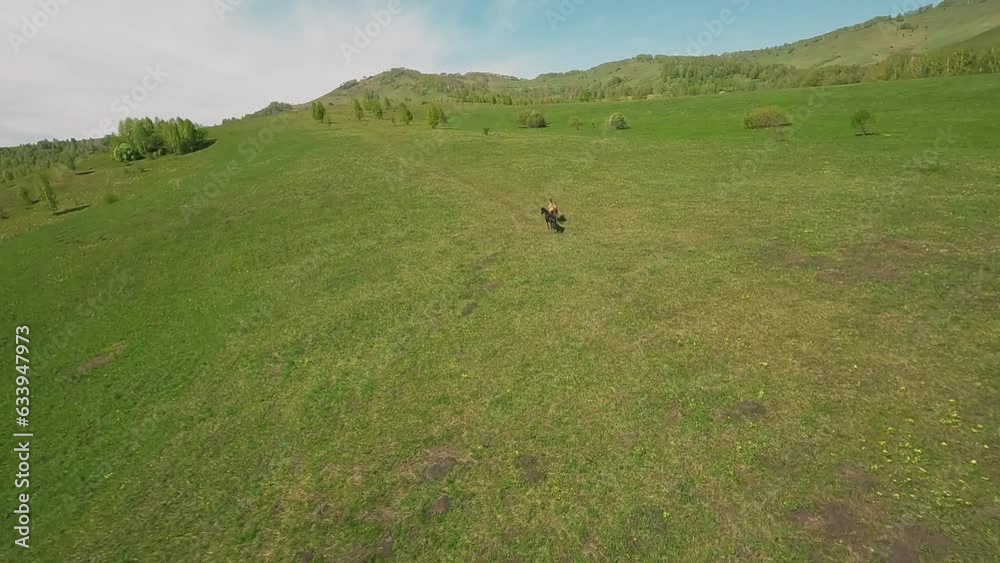 Beautiful fast horses canter along green meadow on sloped hill aerial view. Purebred farm animals in picturesque valley on sunny day slow motion Beautiful fast horses canter along green meadow on sloped hill aerial view. Purebred farm animals in picturesque valley on sunny day slow motion